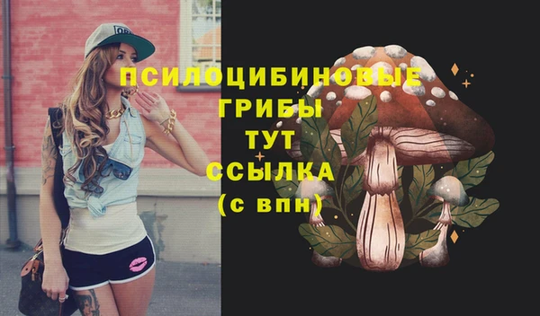 альфа пвп Богородск